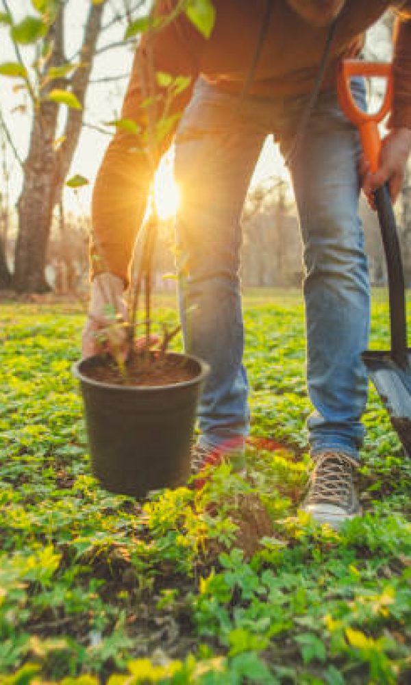 Unrecognised person gardening in spring